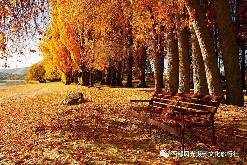 华为p40性价比如何？游戏画面
