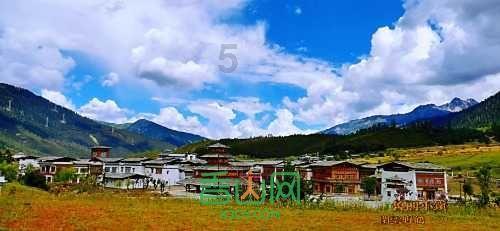 空闲农场