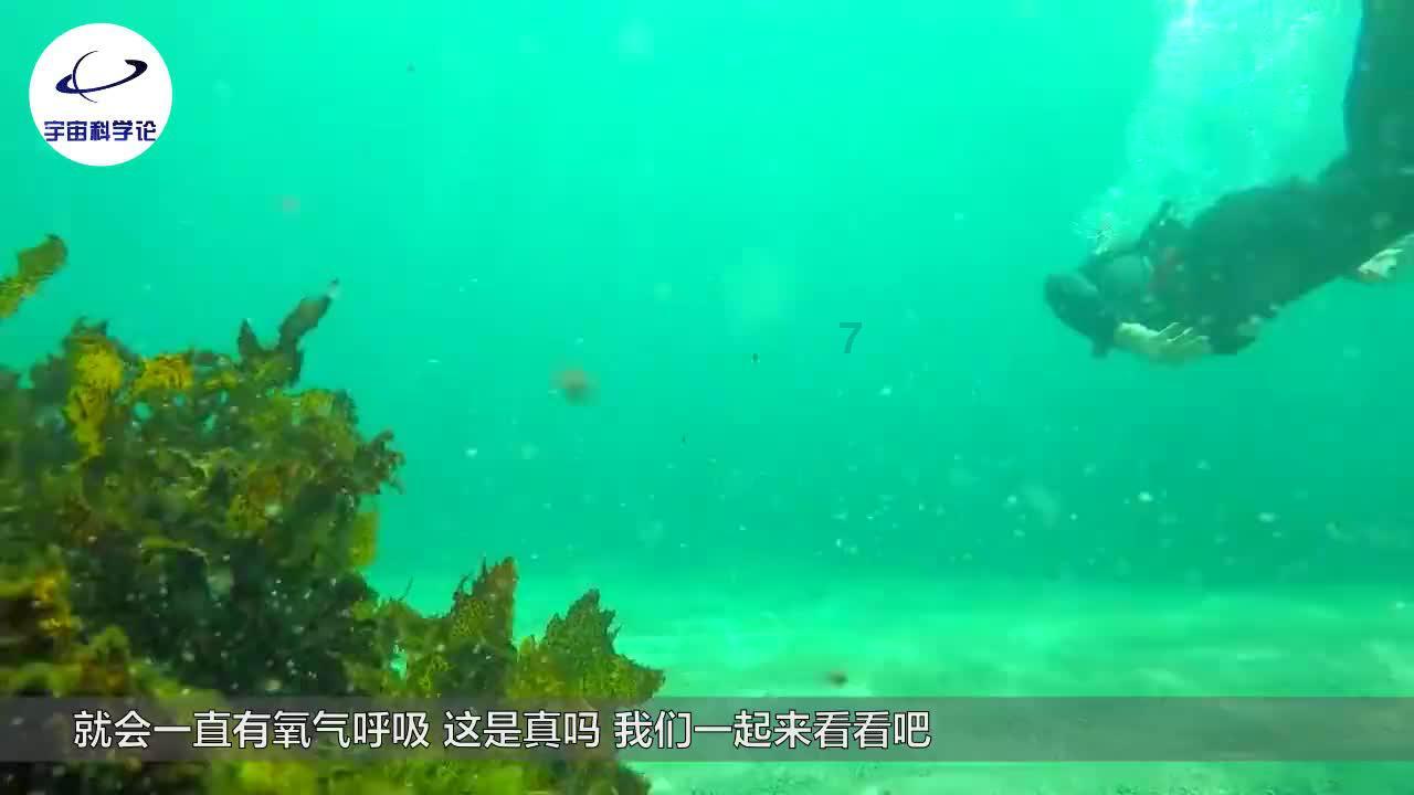 灵山奇缘